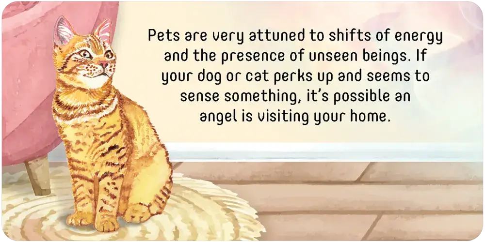 Angel Connections : 40 cartes de message